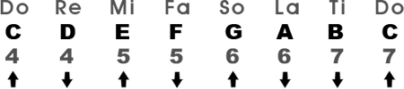 Major Scale in the Key of C